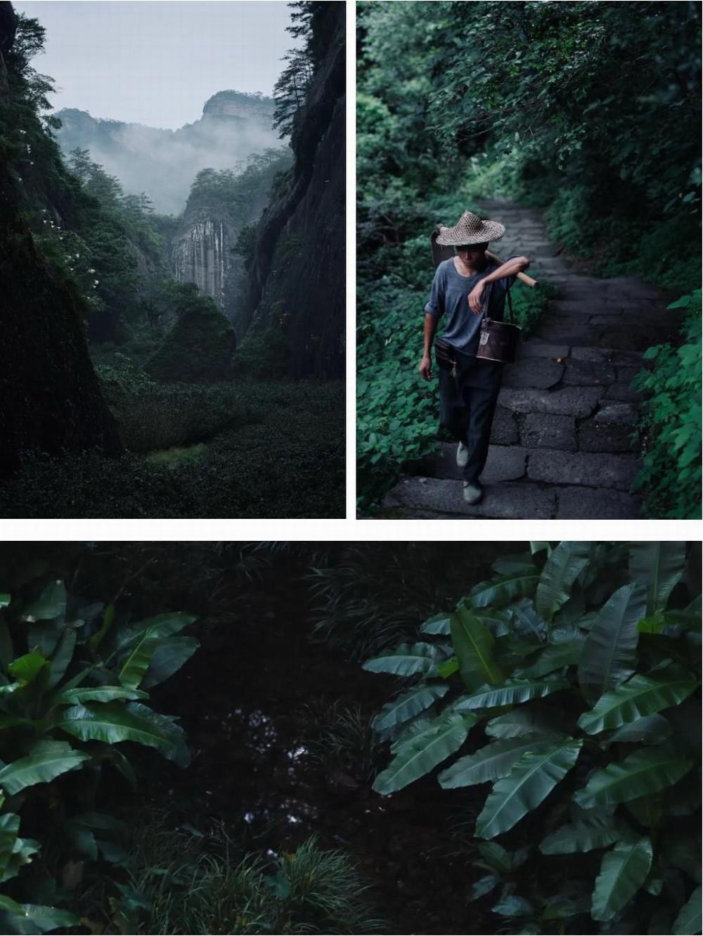 在成都城中安放一片山林，是以不知春齋茶宿/ 時(shí)地建筑